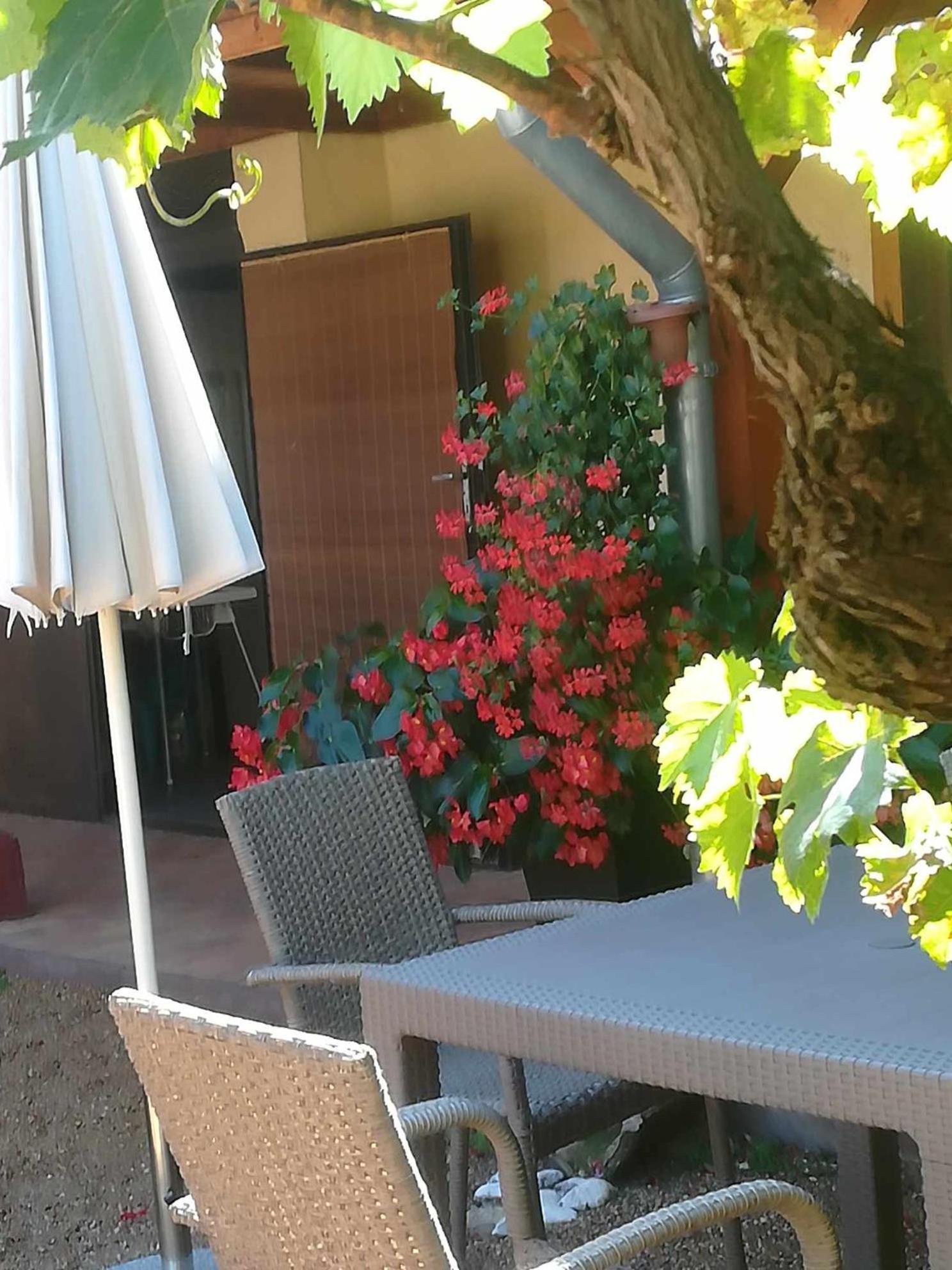 Appartement Muskatlis Haz à Balatonlelle Extérieur photo
