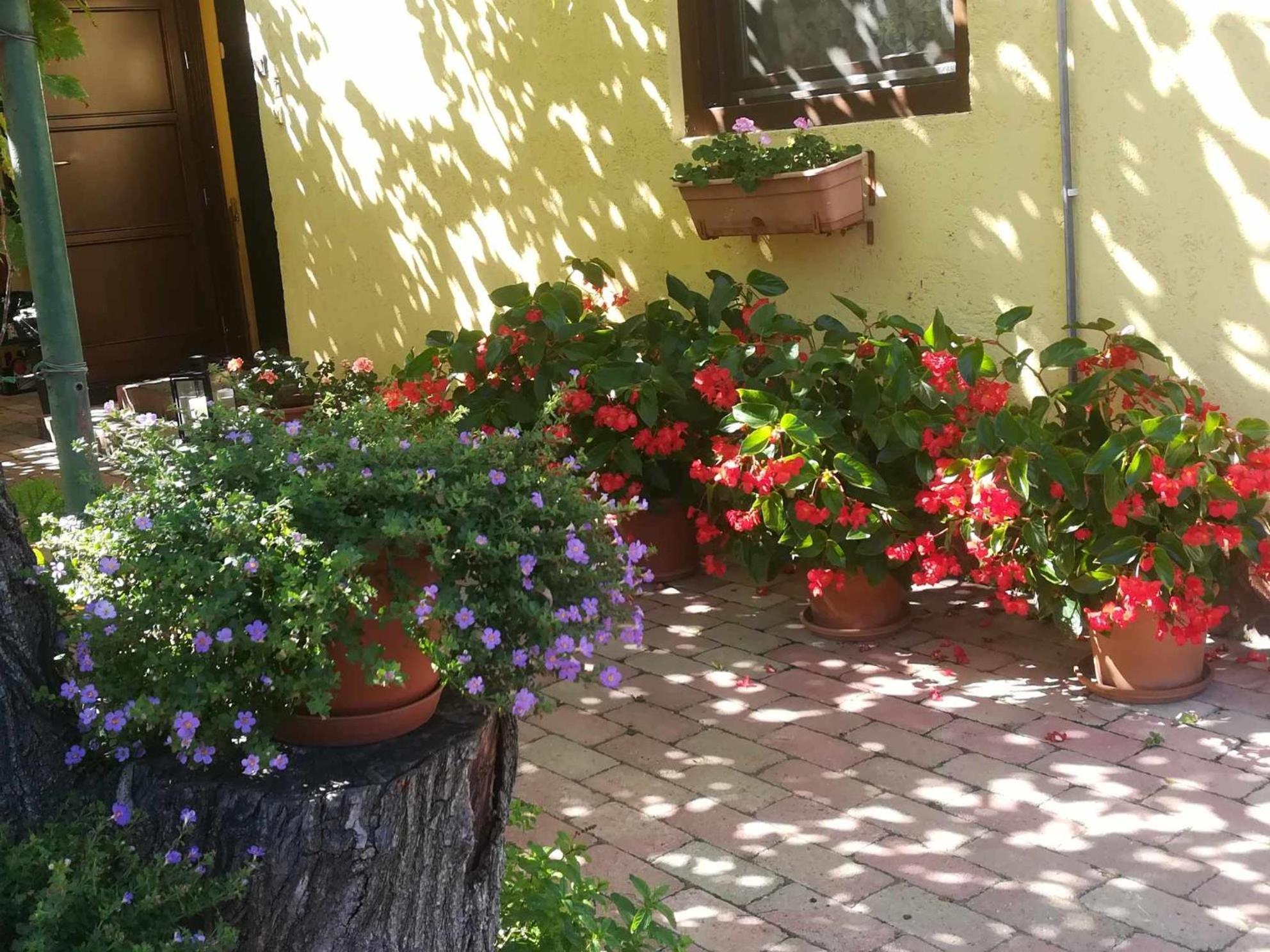 Appartement Muskatlis Haz à Balatonlelle Extérieur photo